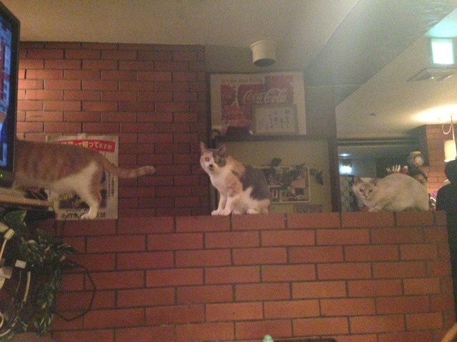 画像15
