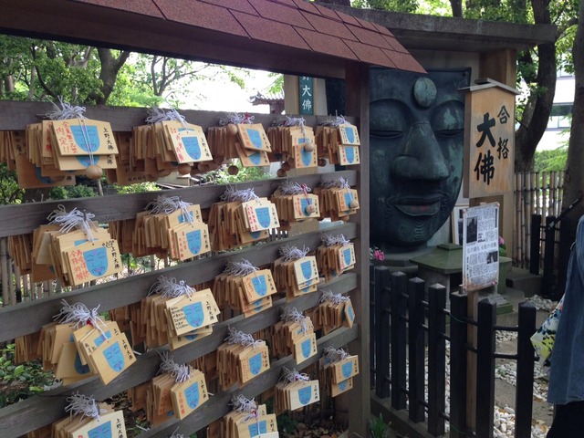 画像8