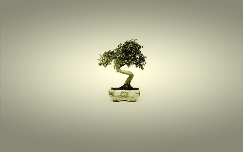 wall20ch7332