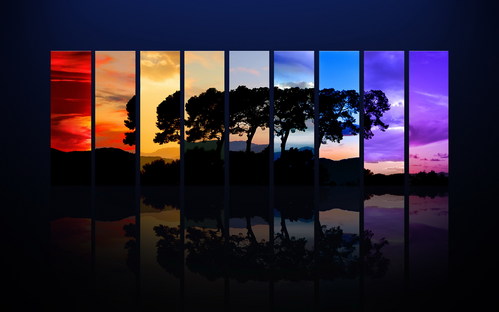 wall20ch7312