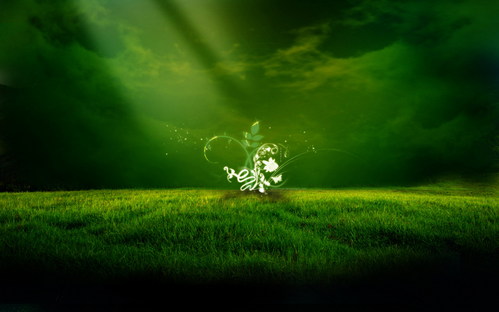 wall20ch7347