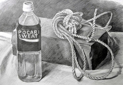 pocari500