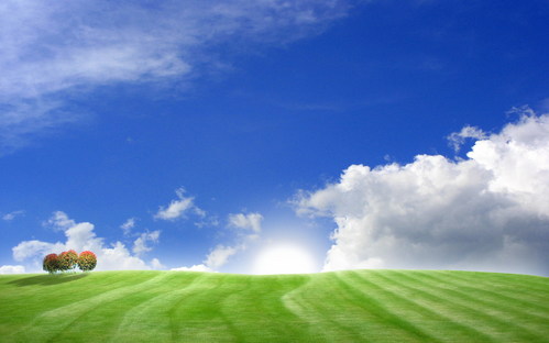 wall20ch7308