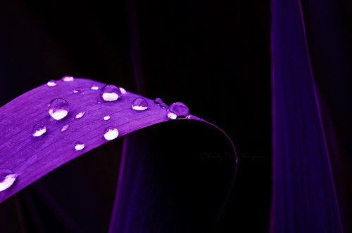 wall20ch7386