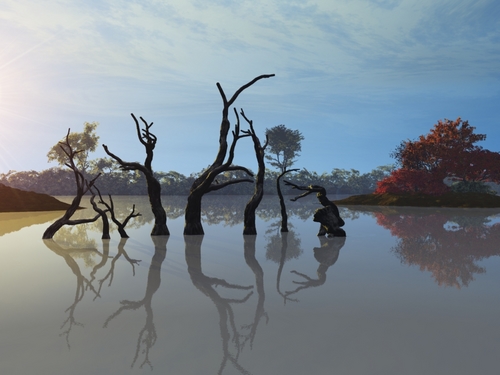 Swamp_Thing_Too_by_kabegami