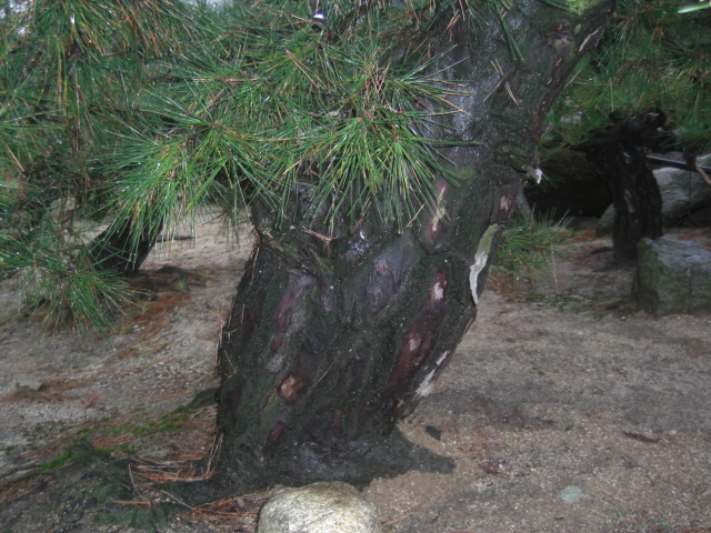 CIMG0033