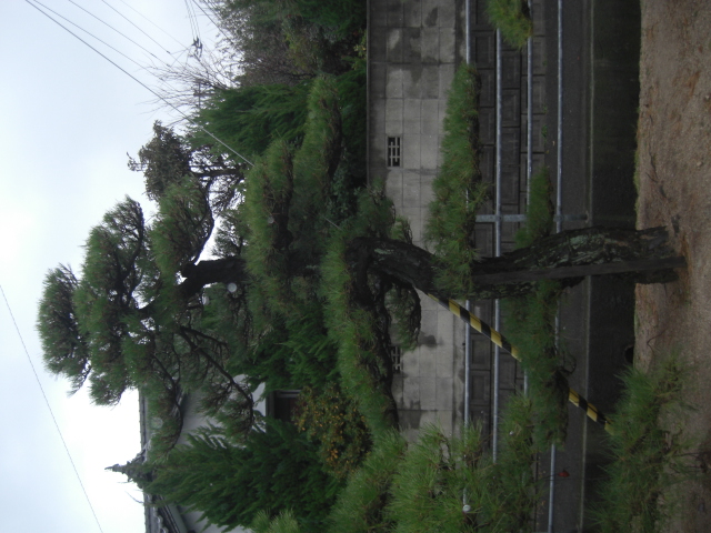 CIMG0026