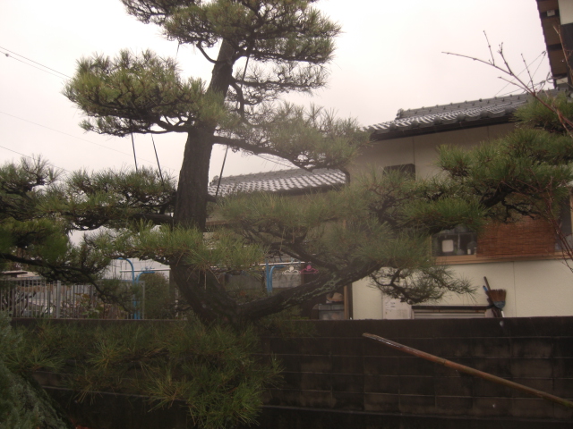 CIMG0016