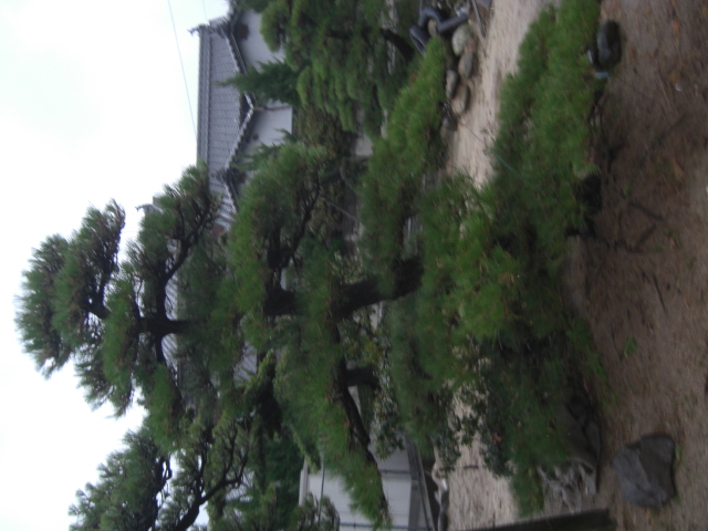 CIMG0031