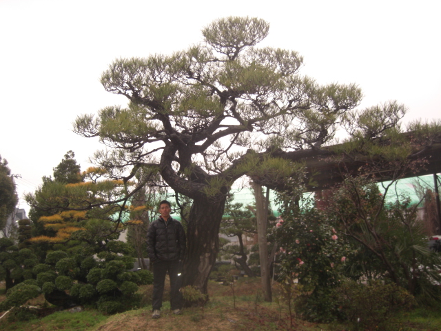 CIMG0036