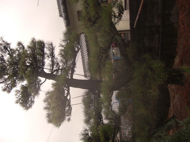 CIMG0017