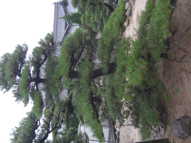 CIMG0030