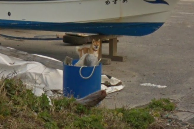 キャプチャ