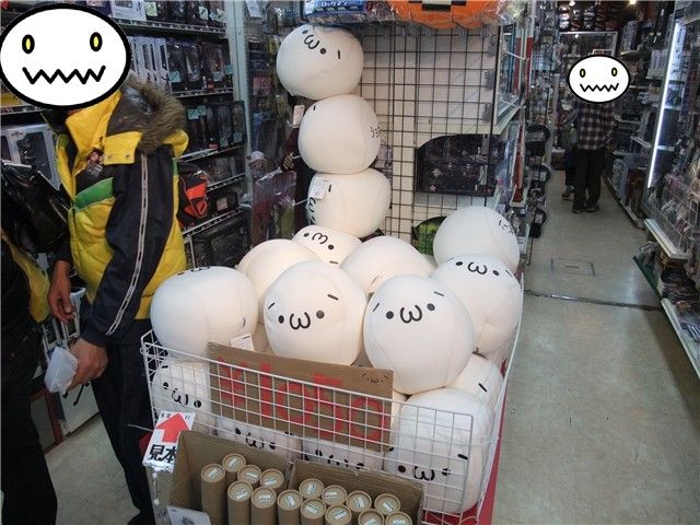 2010-10-30-10A