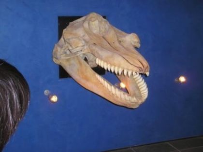 img13