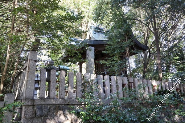11_07_04(1)