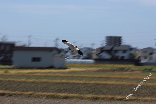 04_20_09(1)