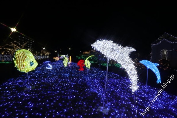 夜景 08(1)