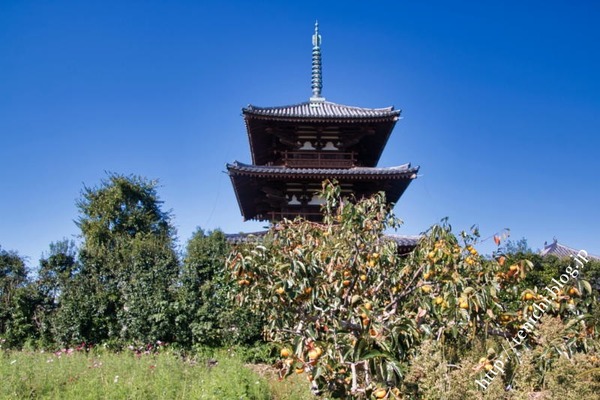 10_09_13(1)