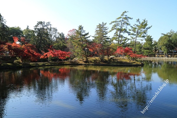 11_18_29(1)