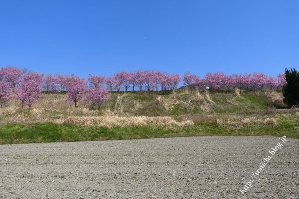 04_04_10(1)