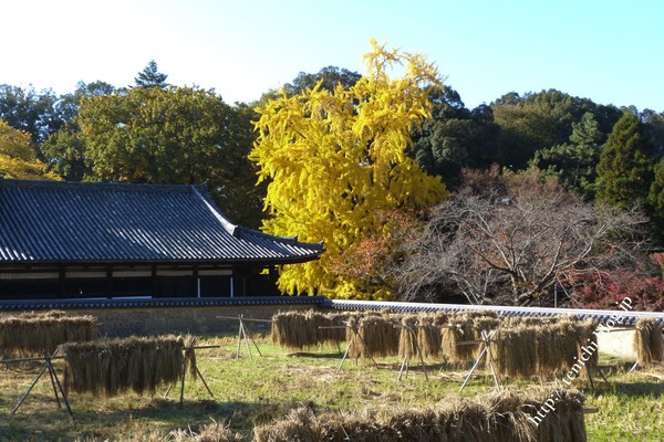 11_18_24(1)