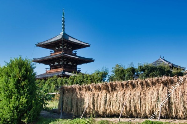 10_09_07(1)