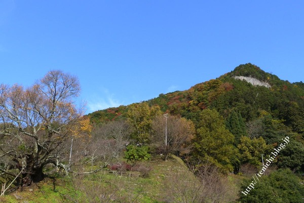 11_17_41(1)