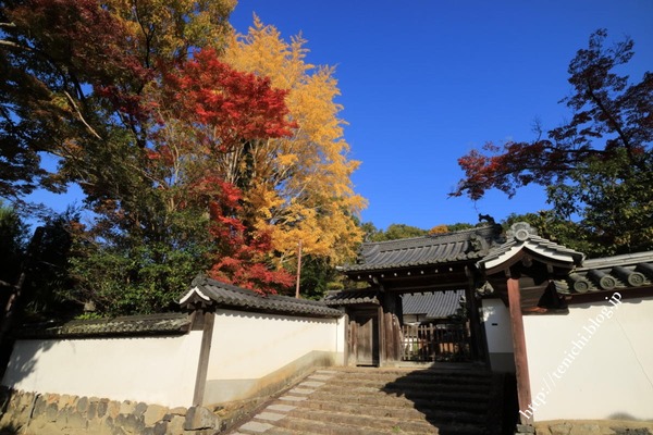 11_18_23(1)