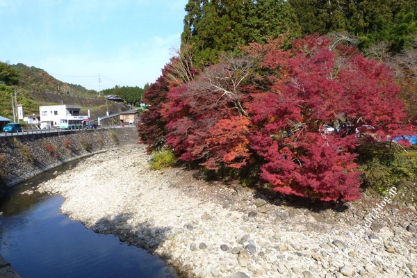 11_17_50(1)