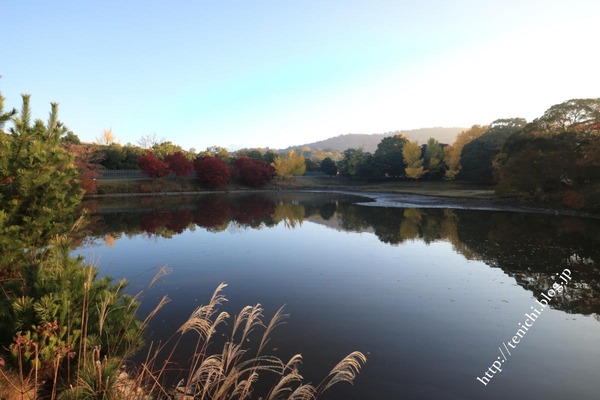 11_18_14(1)