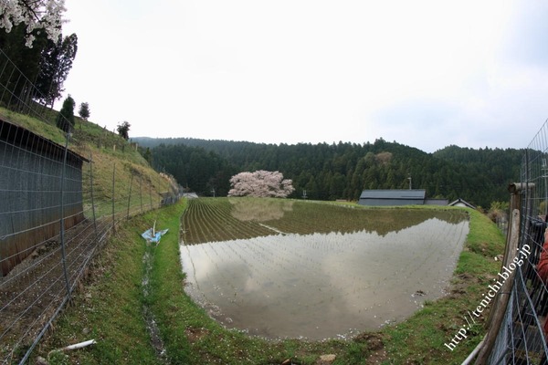 04_19_09(1)