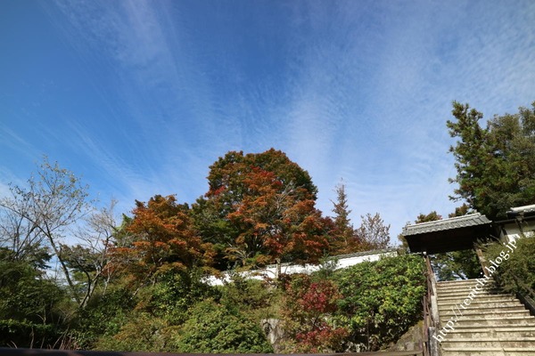 10_31_36(1)
