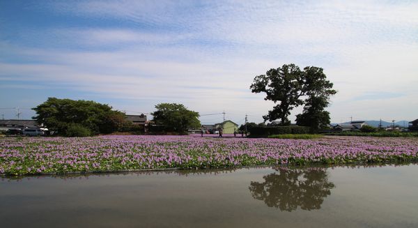 08_28_16