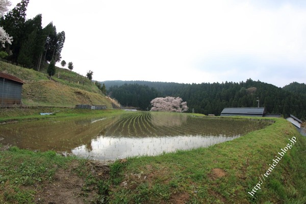 04_19_10(1)