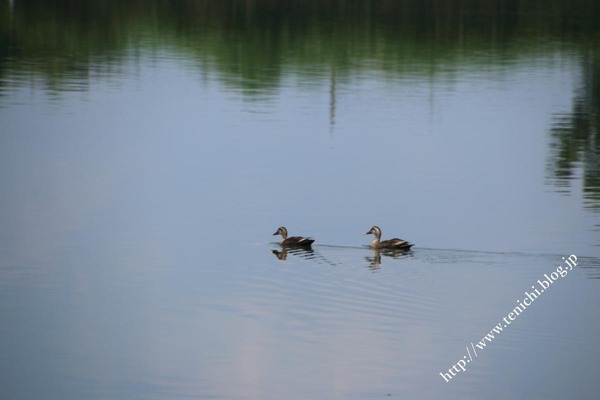 06_27_26(1)