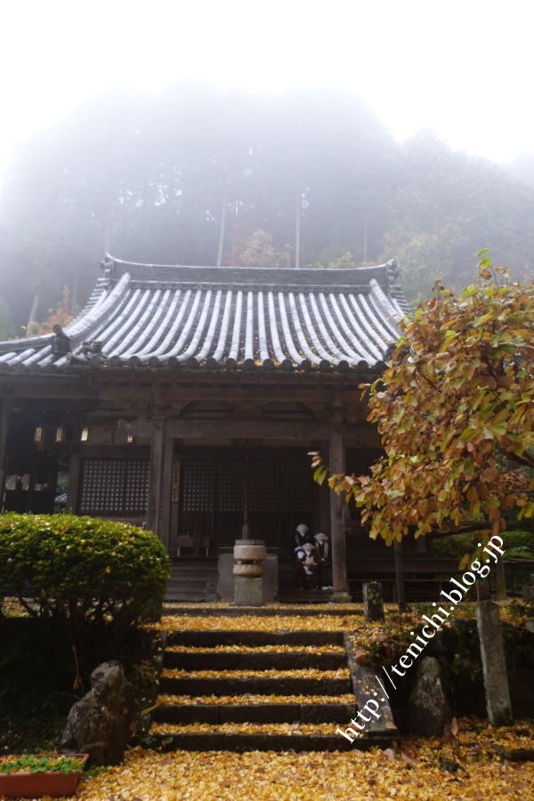 11_22_36(1)