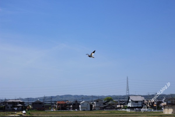 04_20_07(1)