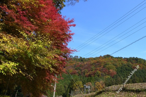 11_17_48(1)