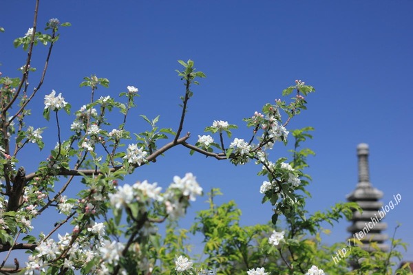 04_20_03(1)