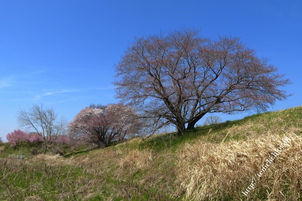 04_04_06(1)