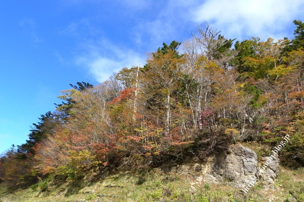 10_27_65(1)