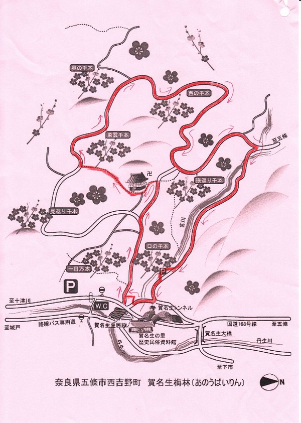 賀名生梅林案内図