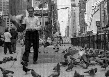 ¤Ï¤È½ÇÉ㤵¤óÂç