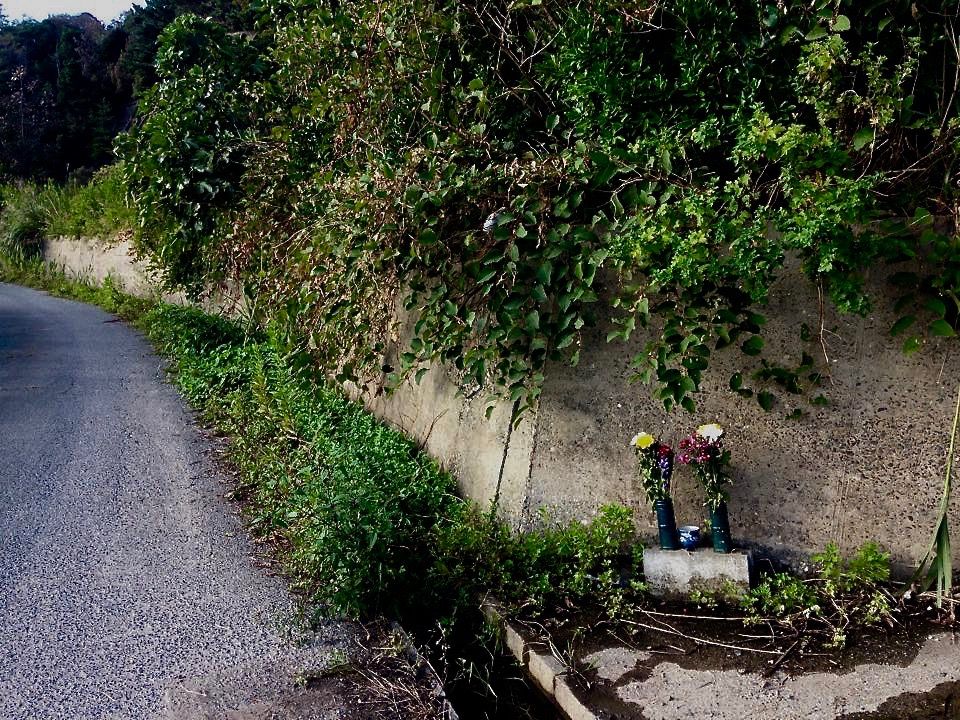 福島1