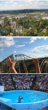 Hershey 5