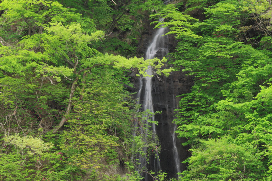 2559-岩原の滝-002