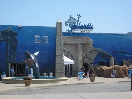 Atlantis1