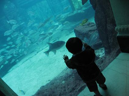 アトランティス水族館