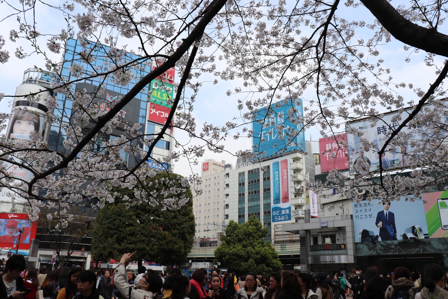 渋谷2019春
